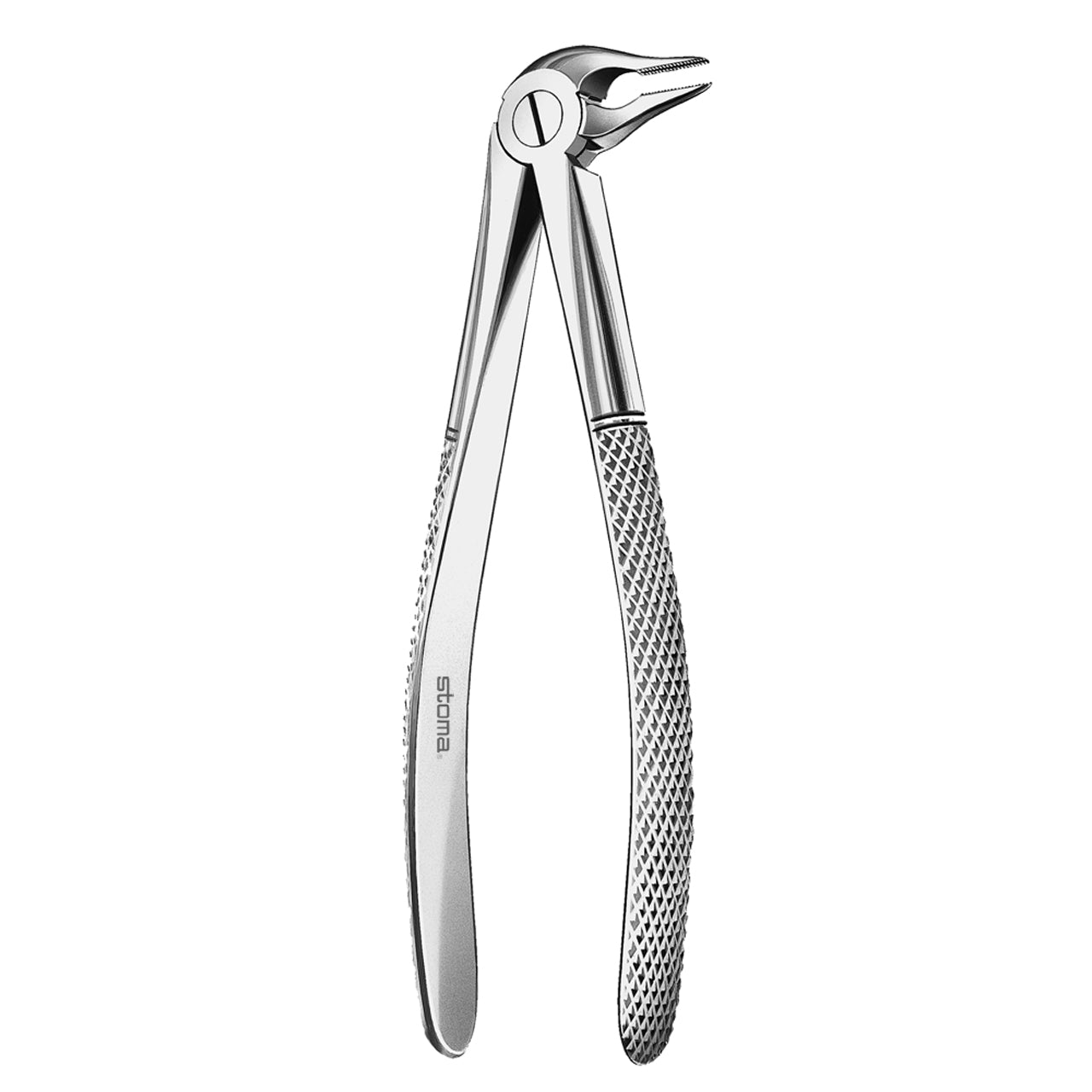 STOMA Forceps lower, fine roots from Quintess Denta