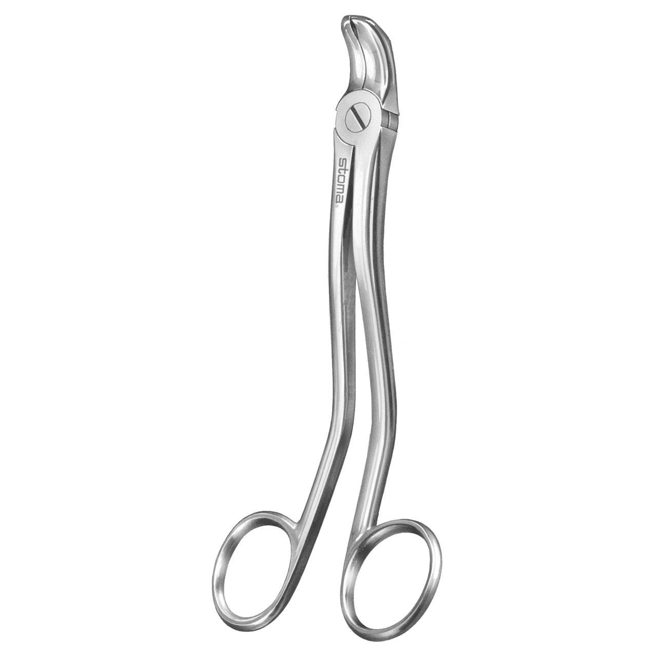 STOMA Forceps for wisdoms, Euler from Quintess Denta