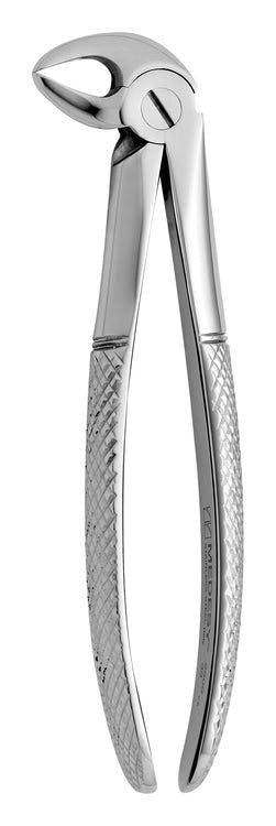 TOOTH FORCEPS N.33