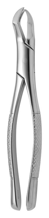 TOOTH FORCEPS AMERICAN N.88-R