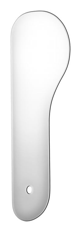 PHOTOGRAPHIC MIRROR LINGUAL