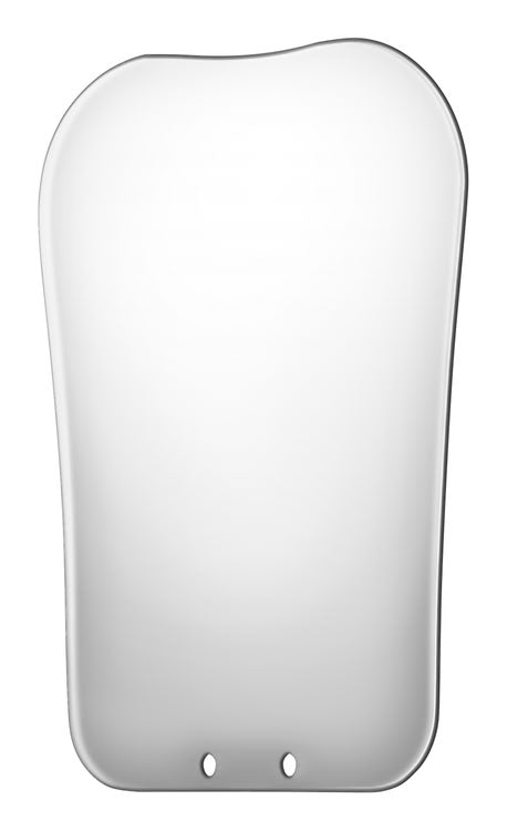 PHOTOGRAPHIC MIRROR PALATAL