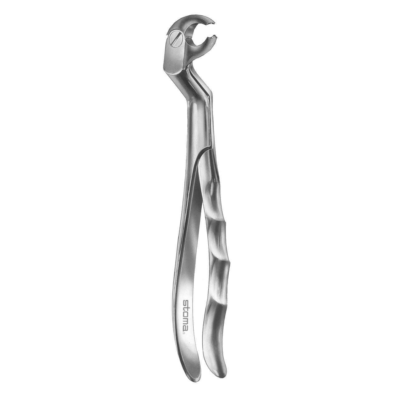STOMA Forceps lower molars, left, Fifo from Quintess Denta