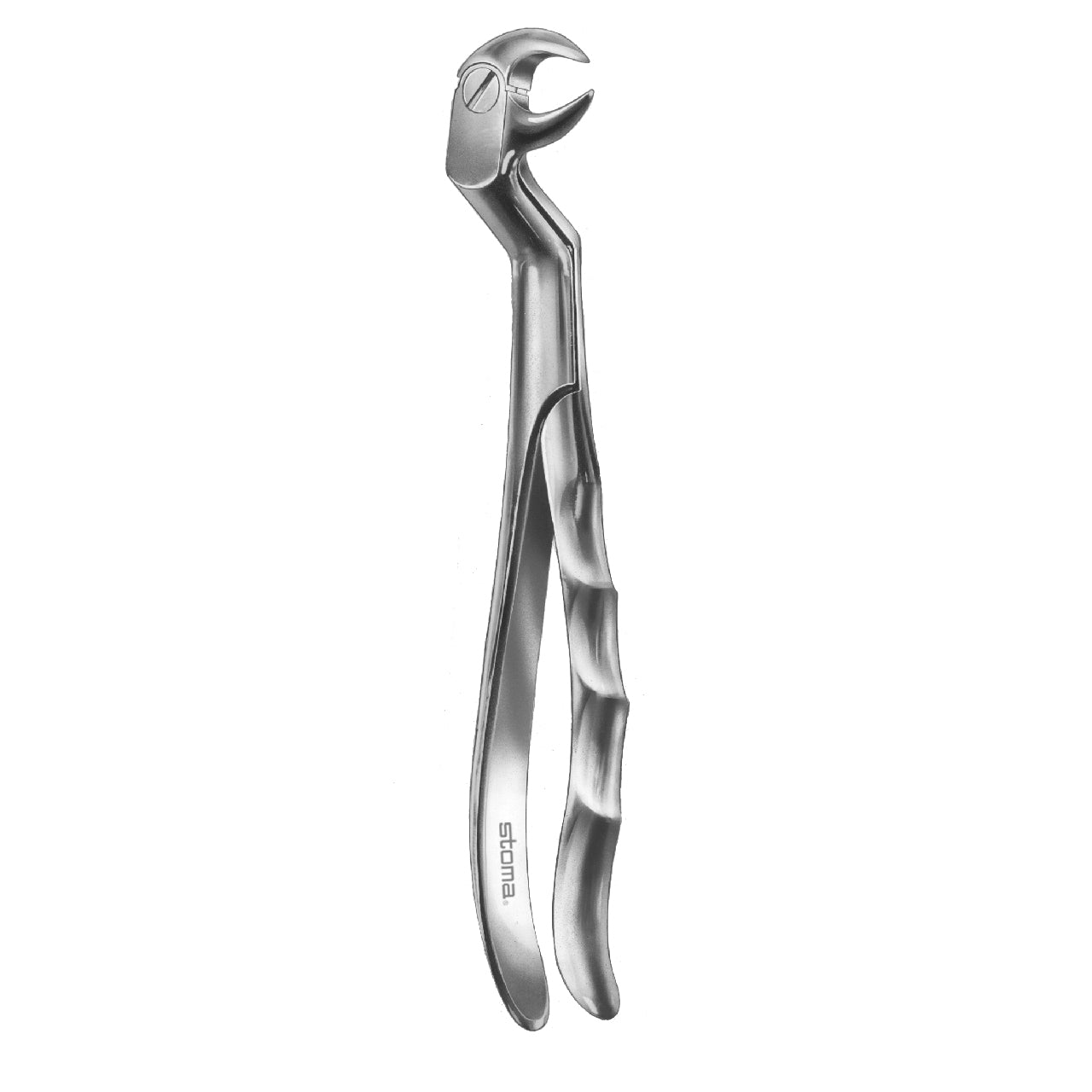 STOMA Forceps lower molars, doublemandrel, left, Fifo from Quintess Denta