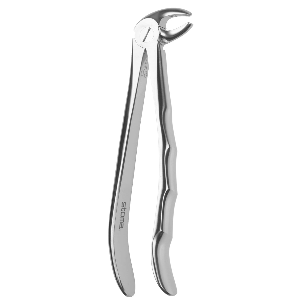 STOMA Forceps lower bicuspids, Fig. 13, Fifo from Quintess Denta