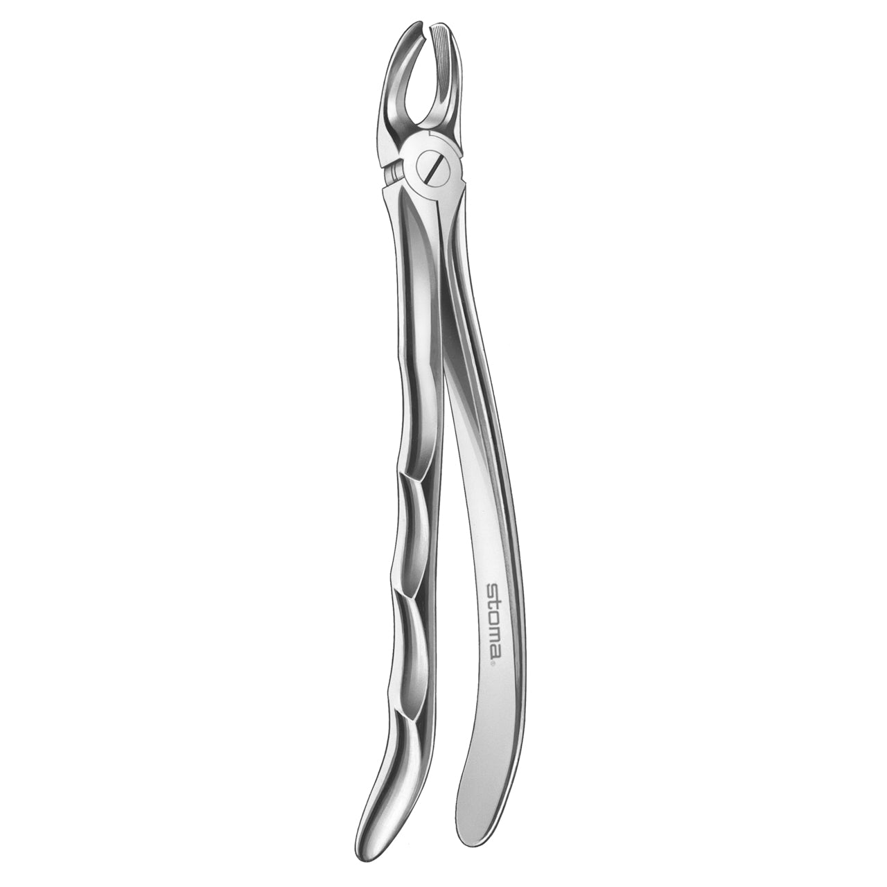 STOMA Forceps upper molars, right, Fig. 17, Fifo from Quintess Denta