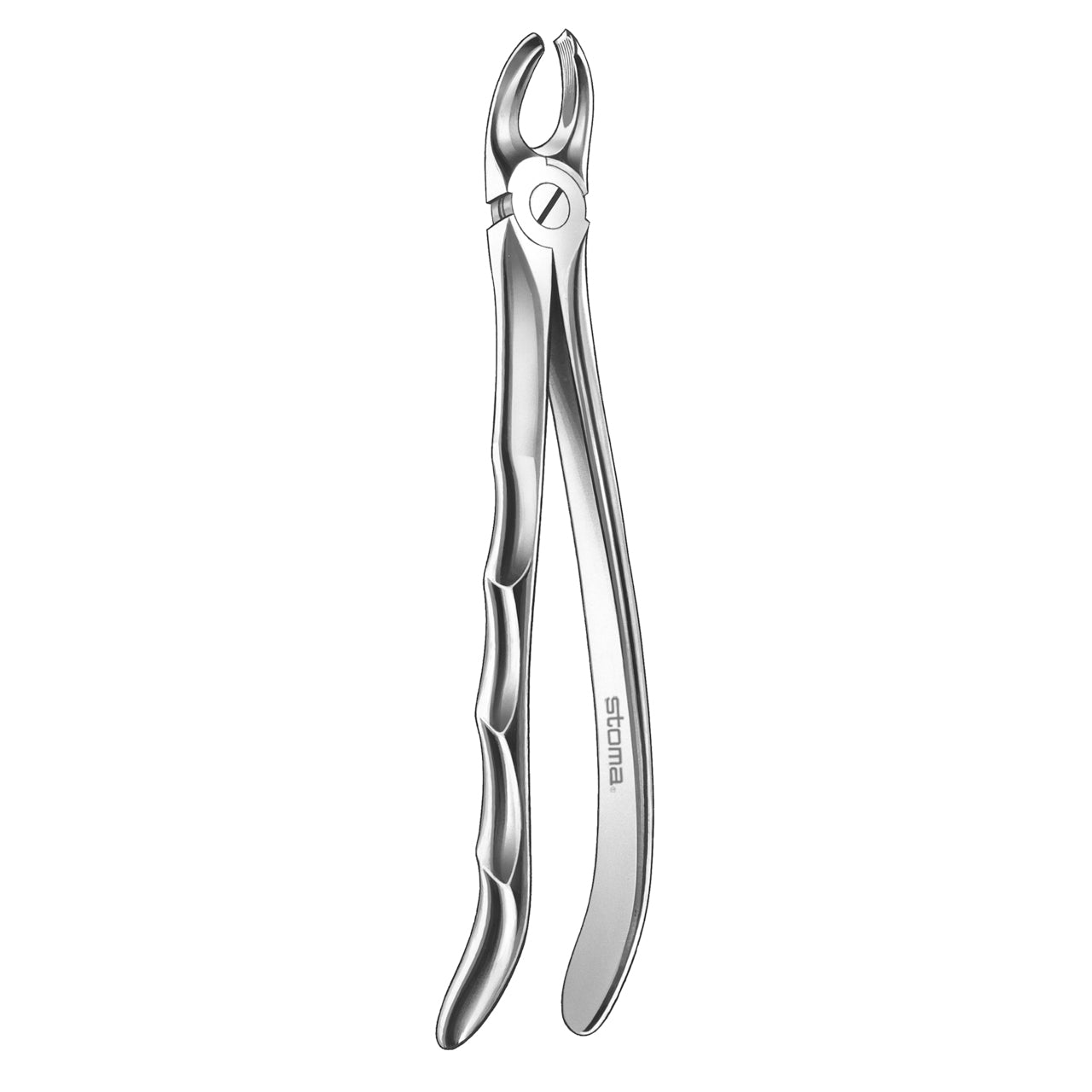 STOMA Forceps upper molars, left, HP, Fig. 18, Fifo from Quintess Denta