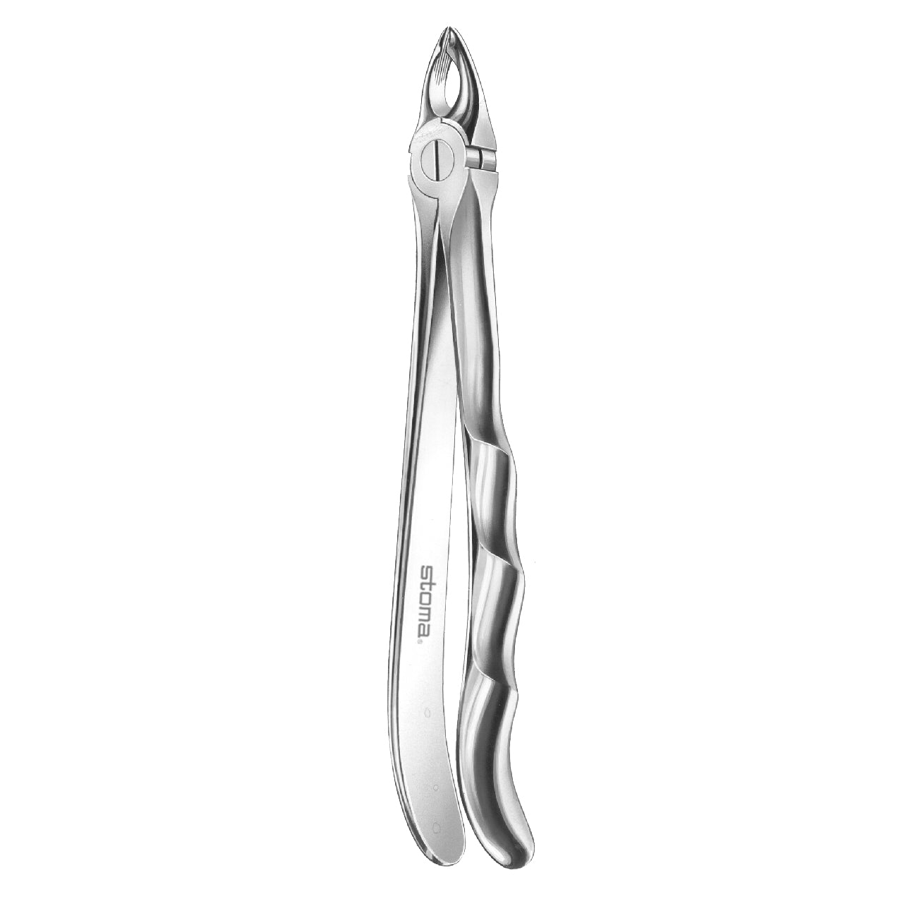 STOMA Forceps upper incisors and canines, far-reaching, small, Fifo from Quintess Denta