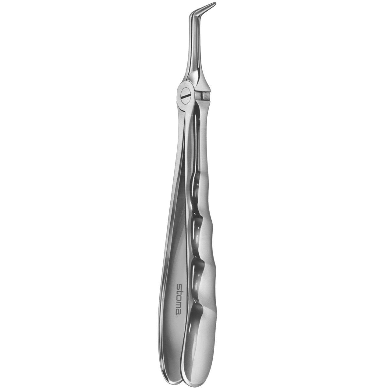 STOMA Forceps lower fine roots, Fifo from Quintess Denta