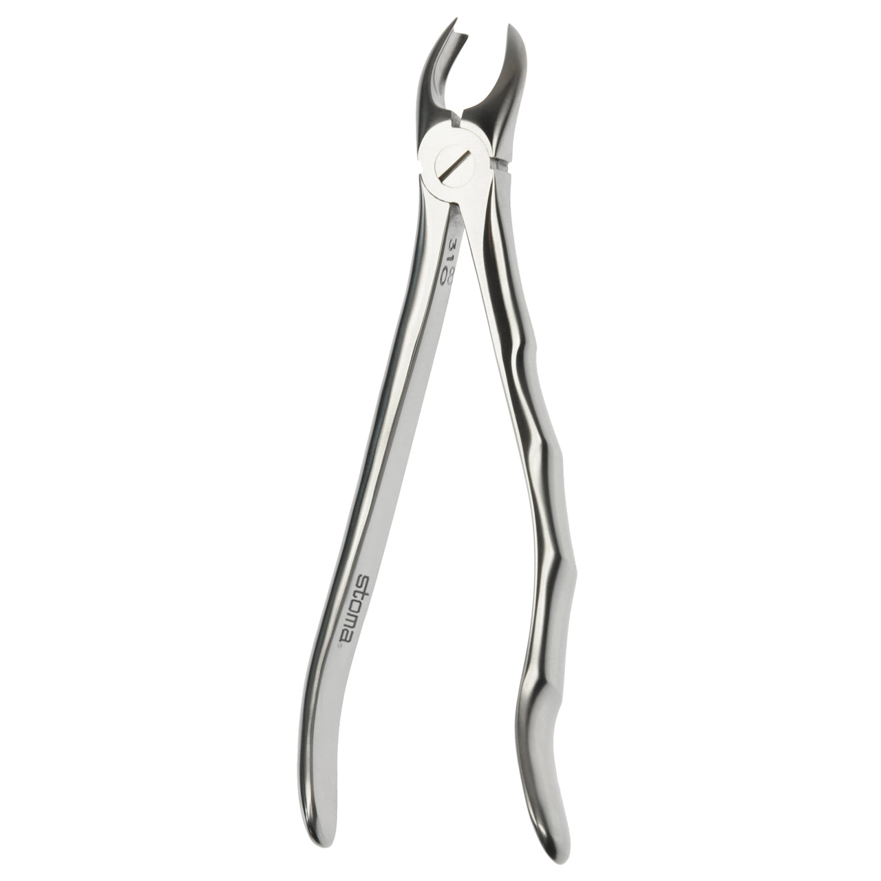 STOMA Forceps upper molars, right, Fifo from Quintess Denta