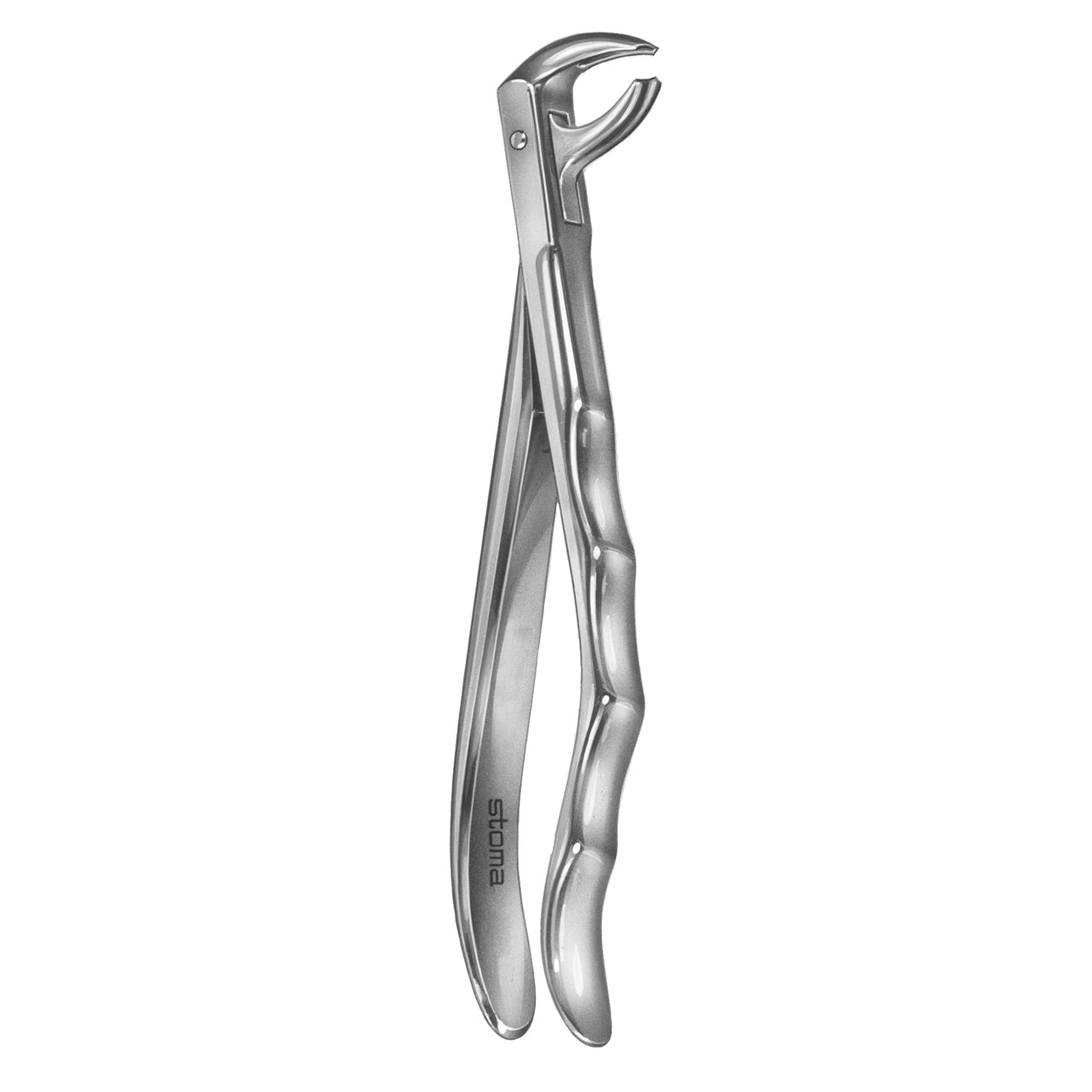 STOMA Forceps lower molars, fig. 73, Fifo from Quintess Denta