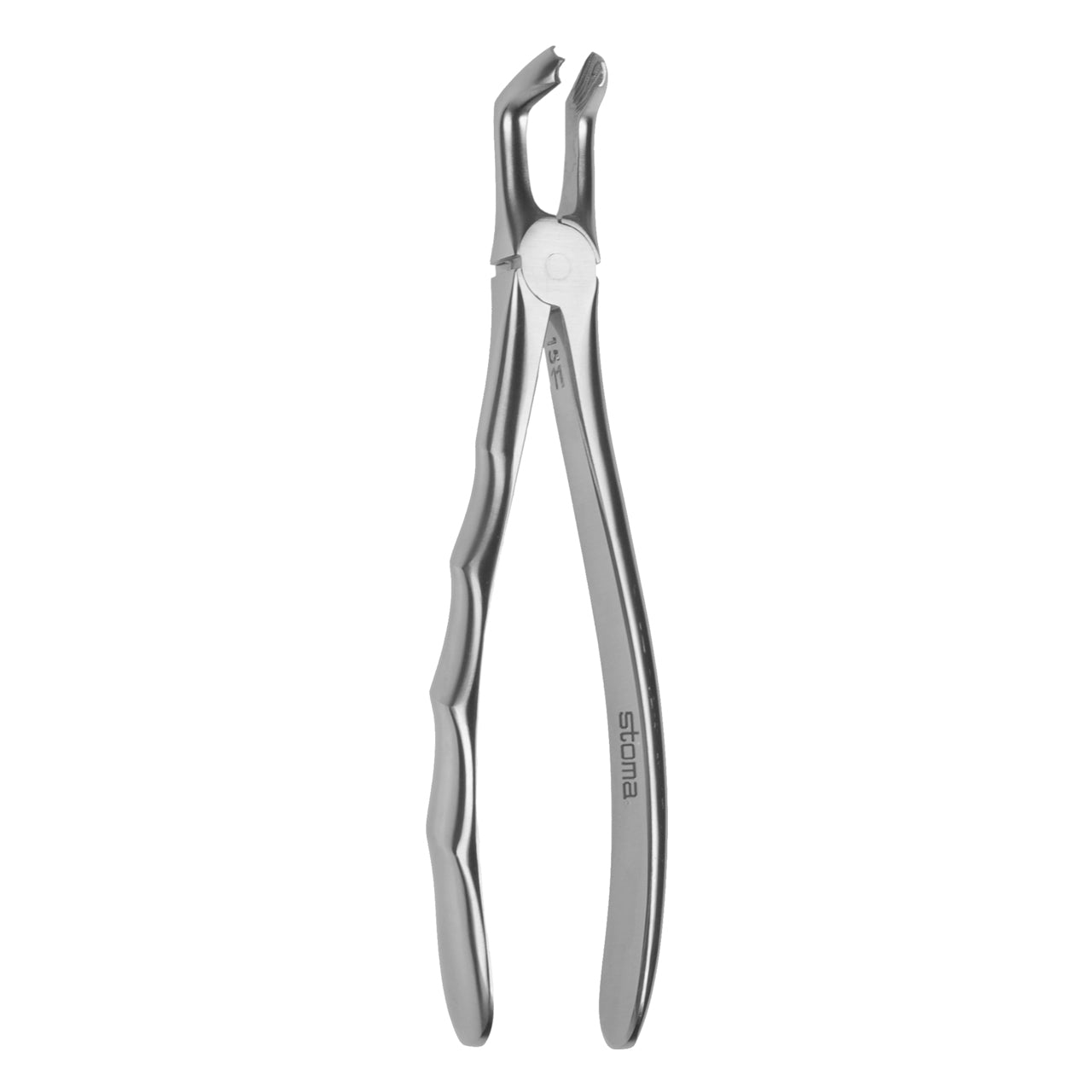 STOMA Forceps lower wisdoms, fig. 79A, Fifo from Quintess Denta