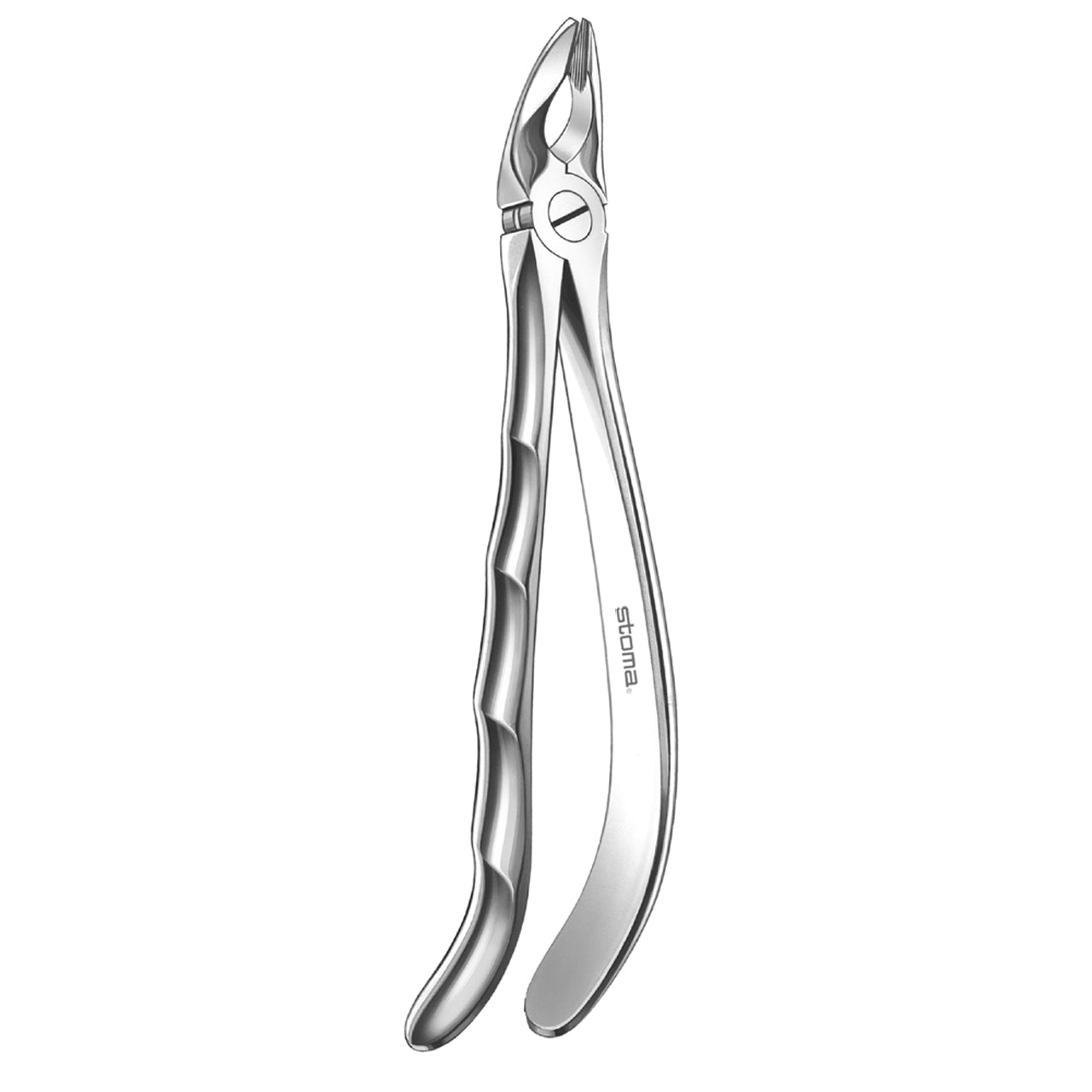 STOMA Forceps upper bicuspids, small, Fifo from Quintess Denta