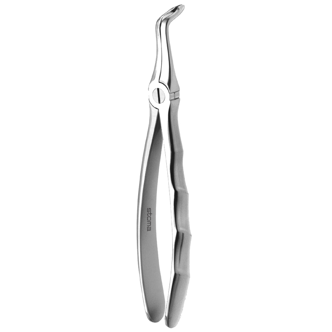 STOMA Forceps lower roots, Fifo from Quintess Denta