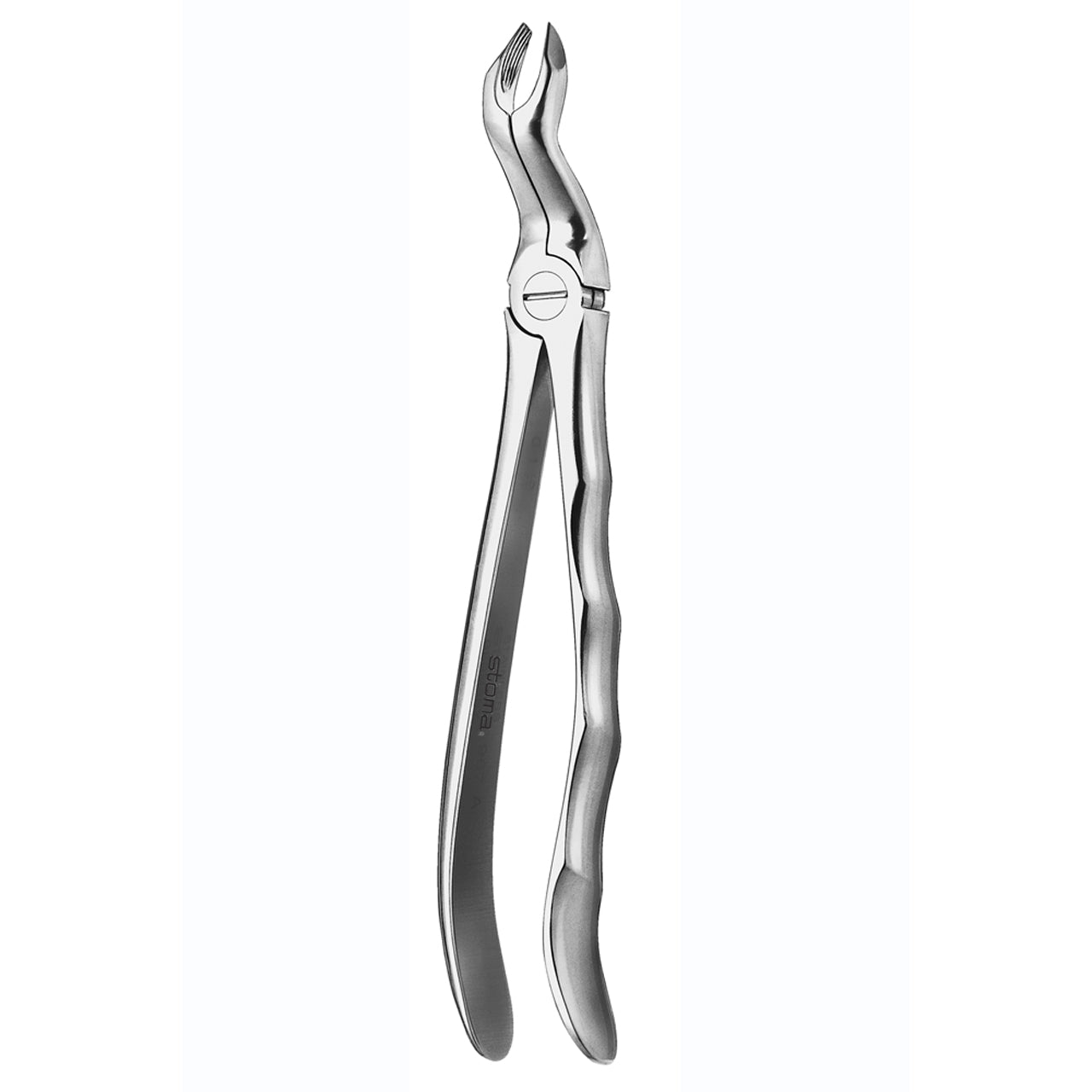 STOMA Forceps upper wisdoms, far-reaching, Fifo from Quintess Denta