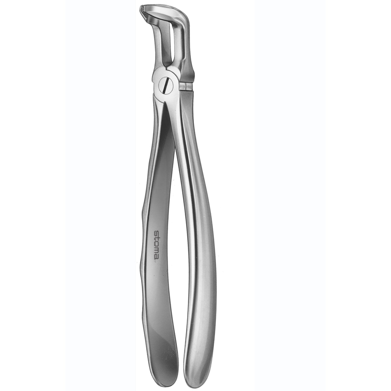 STOMA Forceps lower wisdoms, far-reaching, broad, Fifo from Quintess Denta