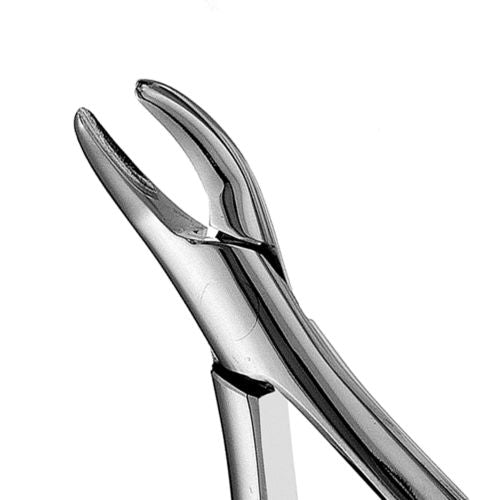 Hu-friedy_101 Hull Forceps_Quintess-Denta