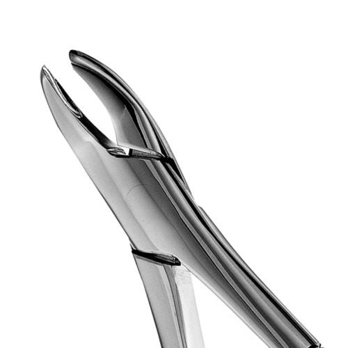 Hu-friedy_62 Forceps_Quintess-Denta