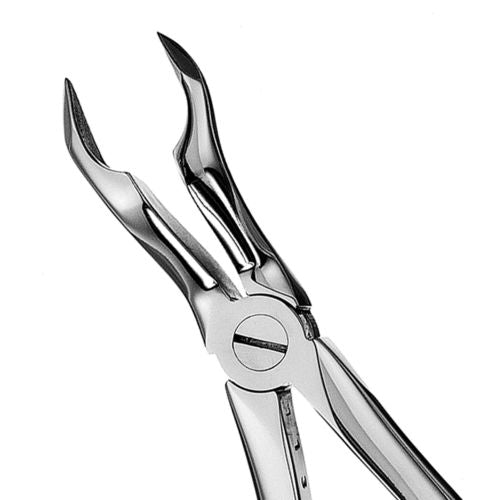 Hu-friedy_67A European Style Apical Forceps_Quintess-Denta
