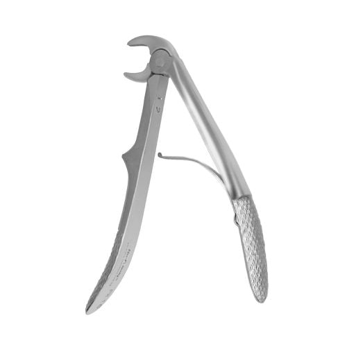 Hu-friedy_1C European Pedo Forceps, Anterior_Quintess-Denta