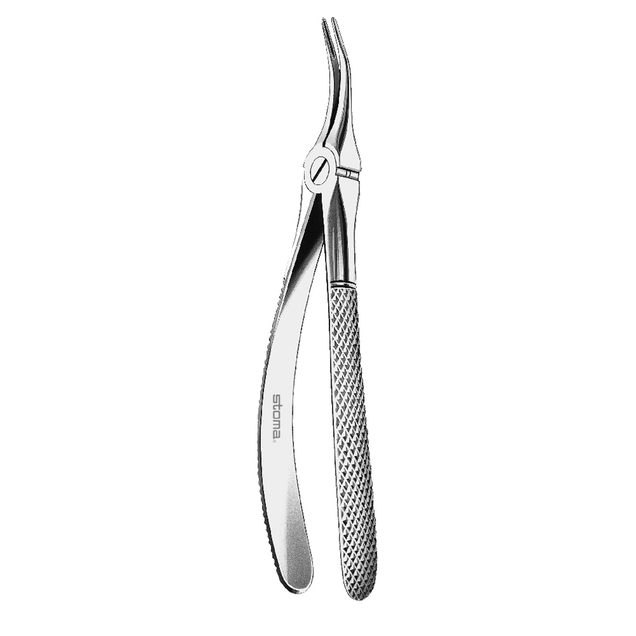 STOMA Forceps upper, fine roots from Quintess Denta