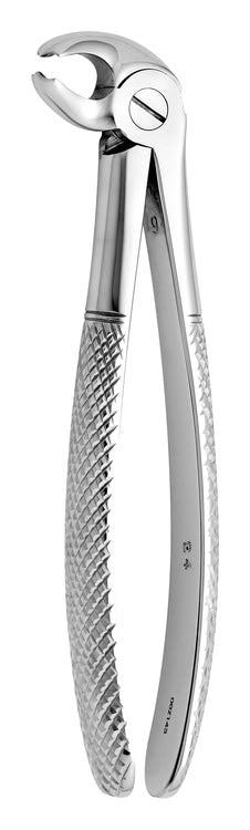 TOOTH FORCEPS N.24