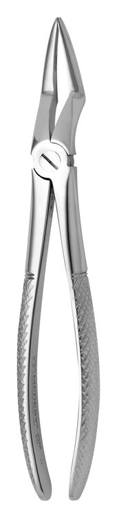 TOOTH FORCEPS N.51-L