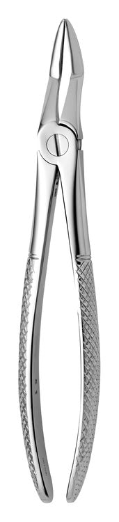 TOOTH FORCEPS N.51