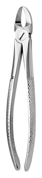 TOOTH FORCEPS N.55