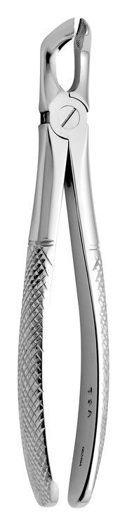 TOOTH FORCEPS N.79-A