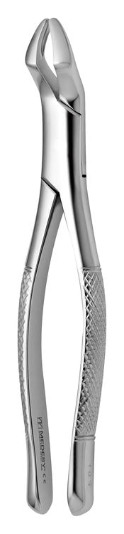 TOOTH FORCEPS AMERICAN N.10-S