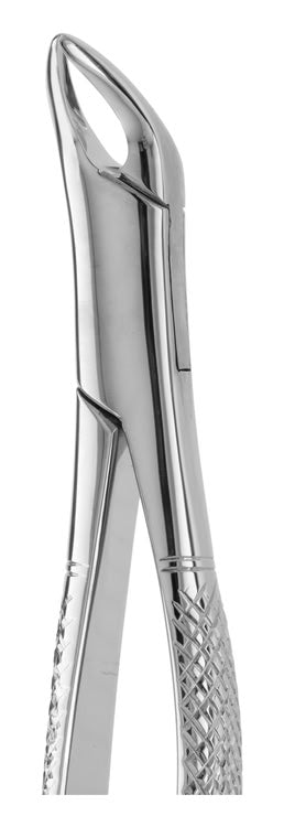 TOOTH FORCEPS AMERICAN N.151 PEDO
