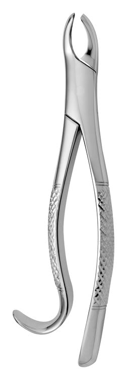 TOOTH FORCEPS AMERICAN N.18-R