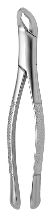 TOOTH FORCEPS AMERICAN N.203