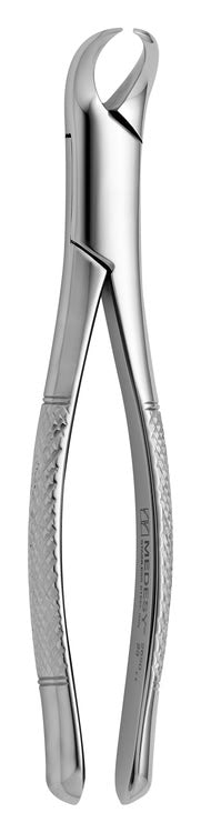 TOOTH FORCEPS AMERICAN N.23