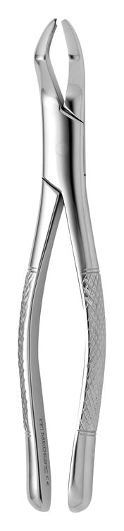 TOOTH FORCEPS AMERICAN N.53-L
