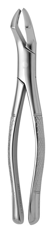 TOOTH FORCEPS AMERICAN N.53-R
