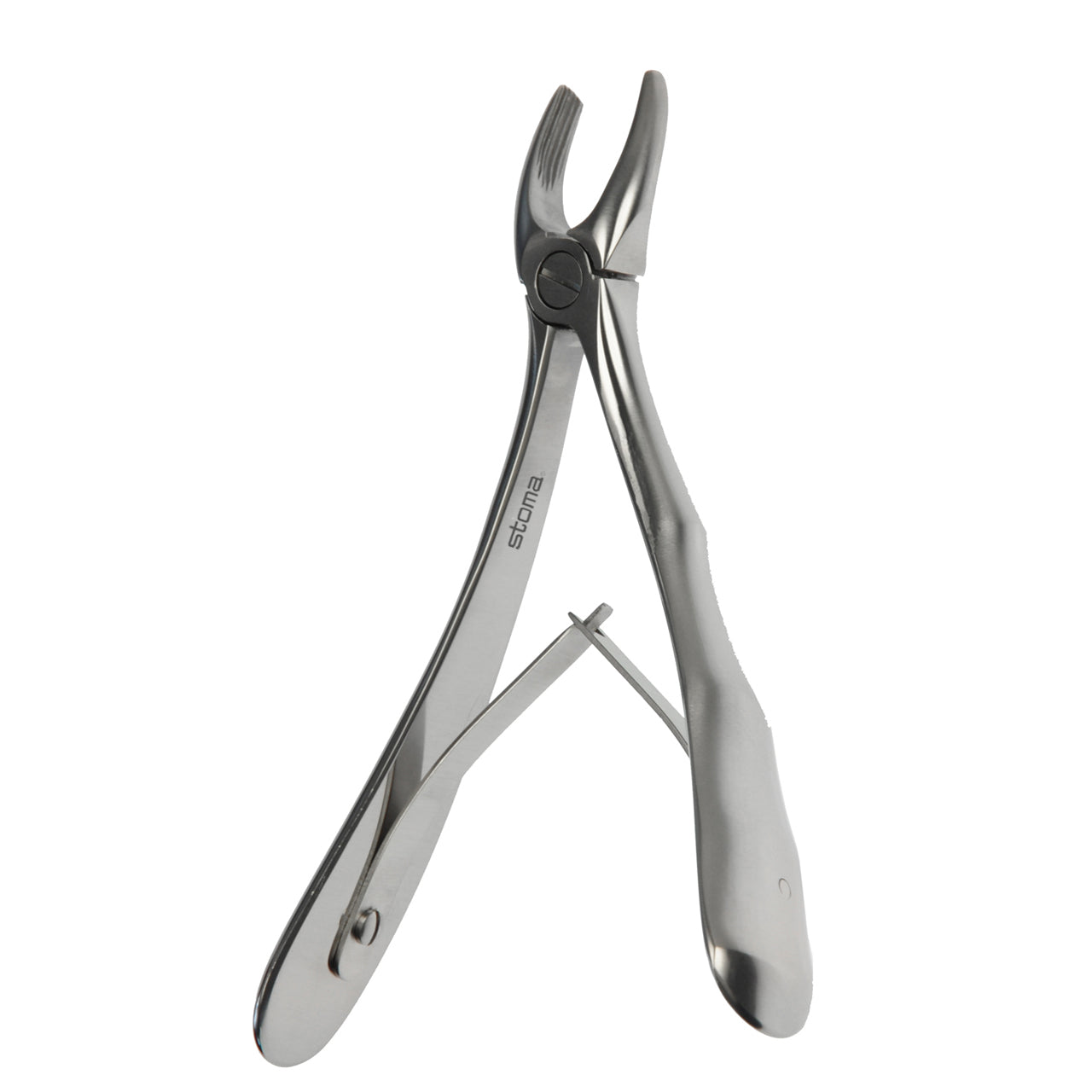 STOMA Forceps upper bicuspids, molars, children, Fifo from Quintess Denta