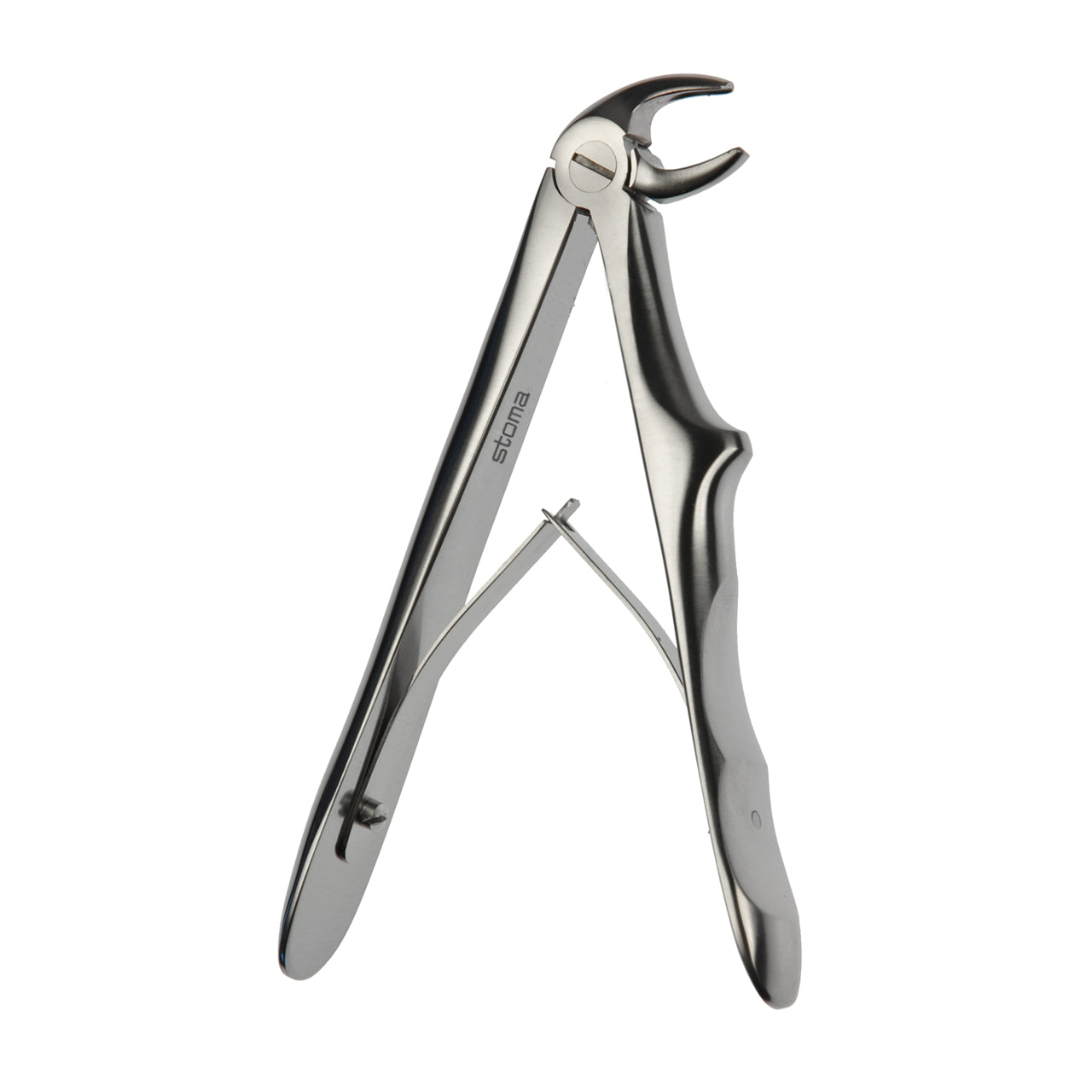 STOMA Forceps lower incisors and canines, children, Fifo from Quintess Denta