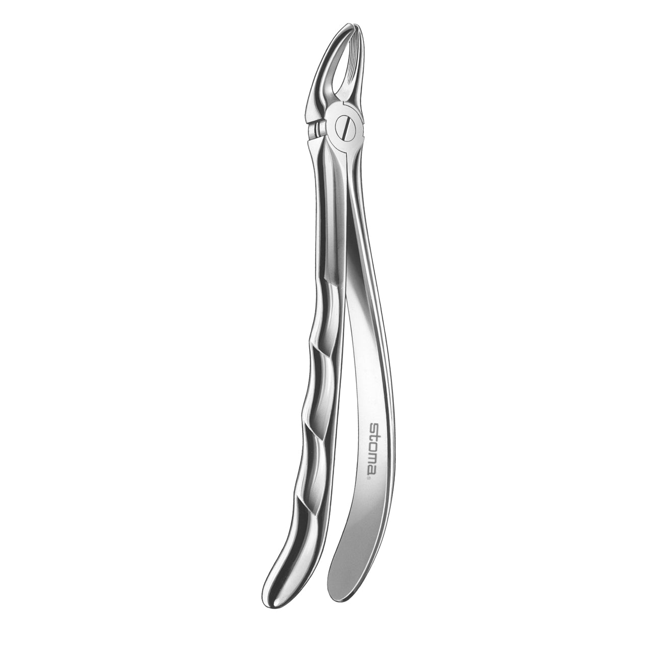 STOMA Forceps upper bicuspids, fig. 7, Fifo from Quintess Denta