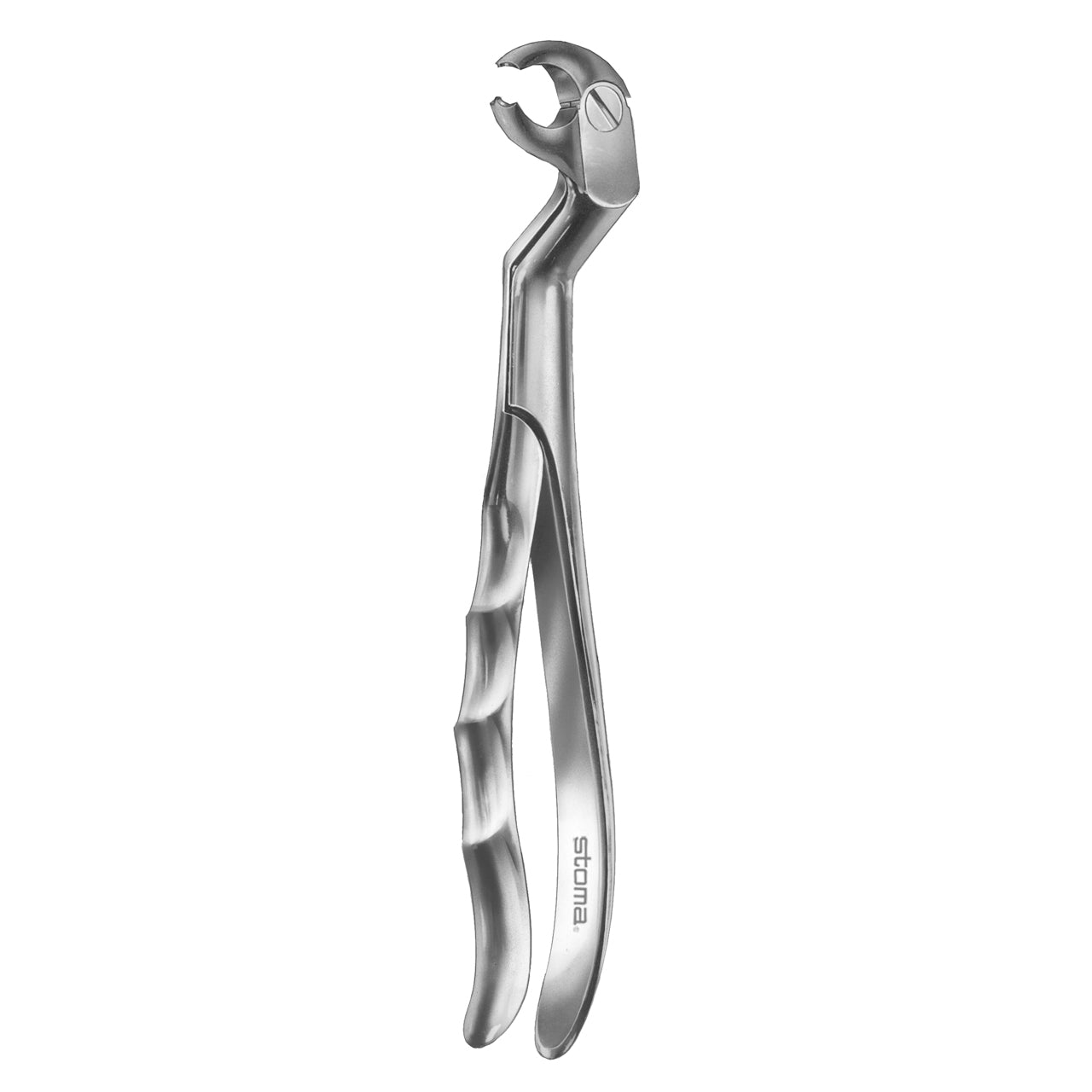 STOMA Forceps lower molars, right, Fifo from Quintess Denta