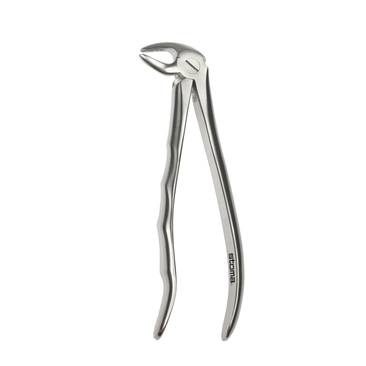 STOMA Forceps lower roots, broad, fig. 33, Fifo from Quintess Denta