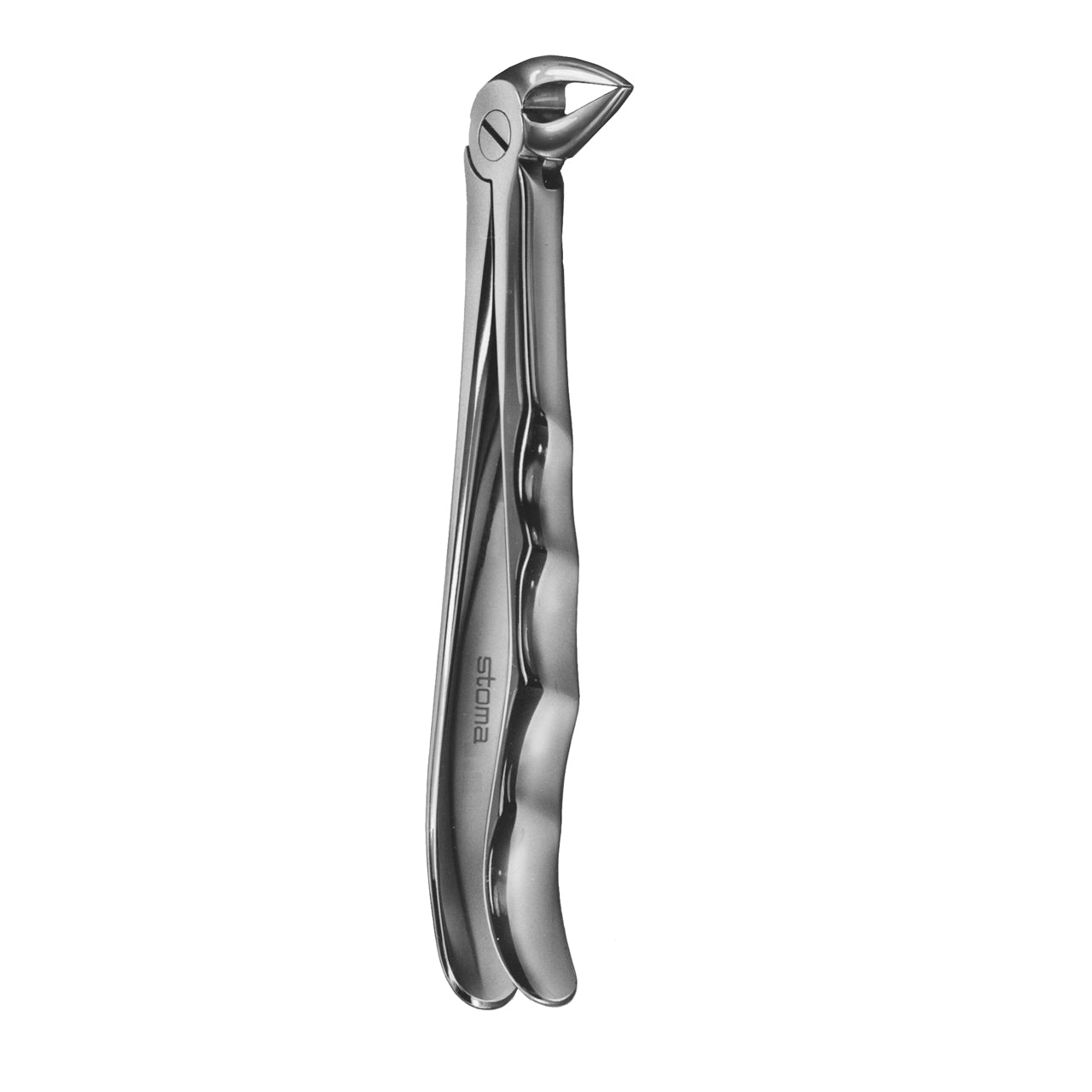 STOMA Forceps lower roots, small, fig. 33A, Fifo from Quintess Denta