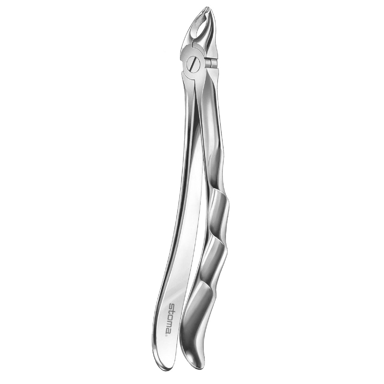 STOMA Forceps upper bicuspids, far-reaching, small, Fifo from Quintess Denta