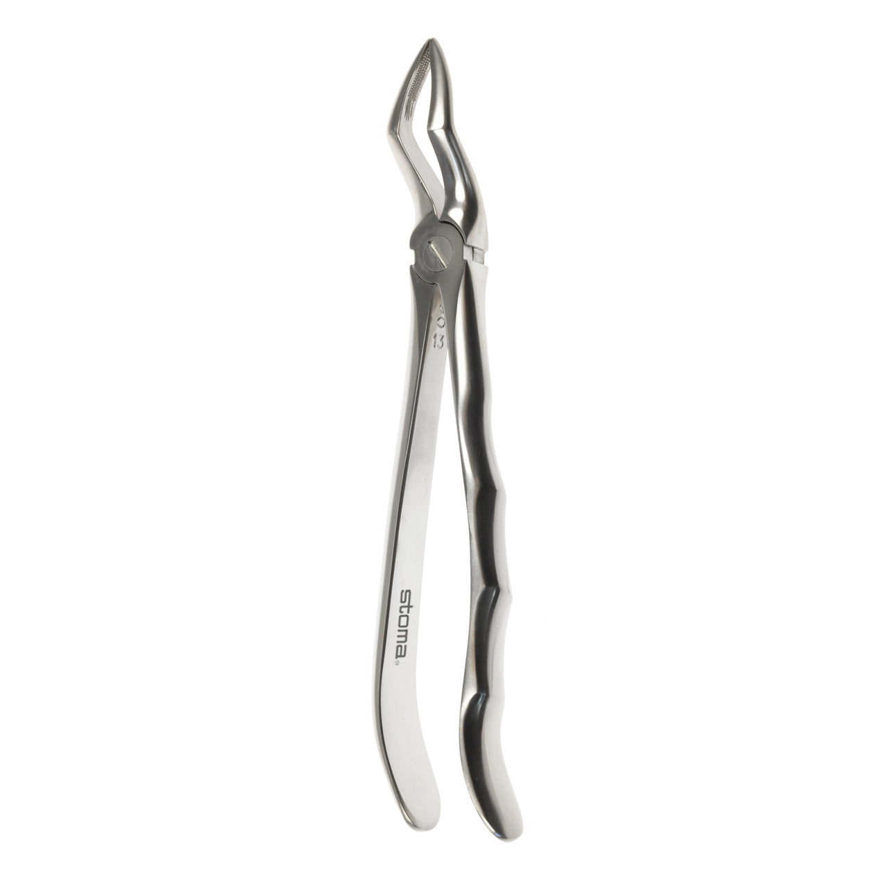 STOMA Forceps upper roots, broad, fig. 51, Fifo from Quintess Denta