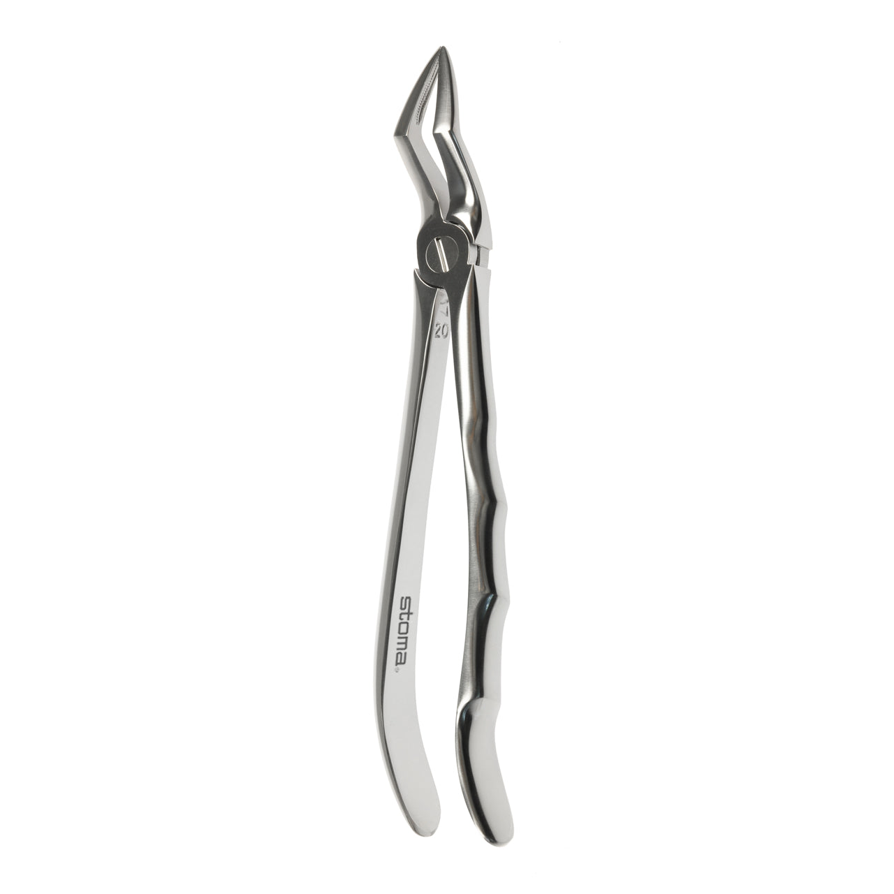 STOMA Forceps upper roots, small, fig. 51A, Fifo from Quintess Denta