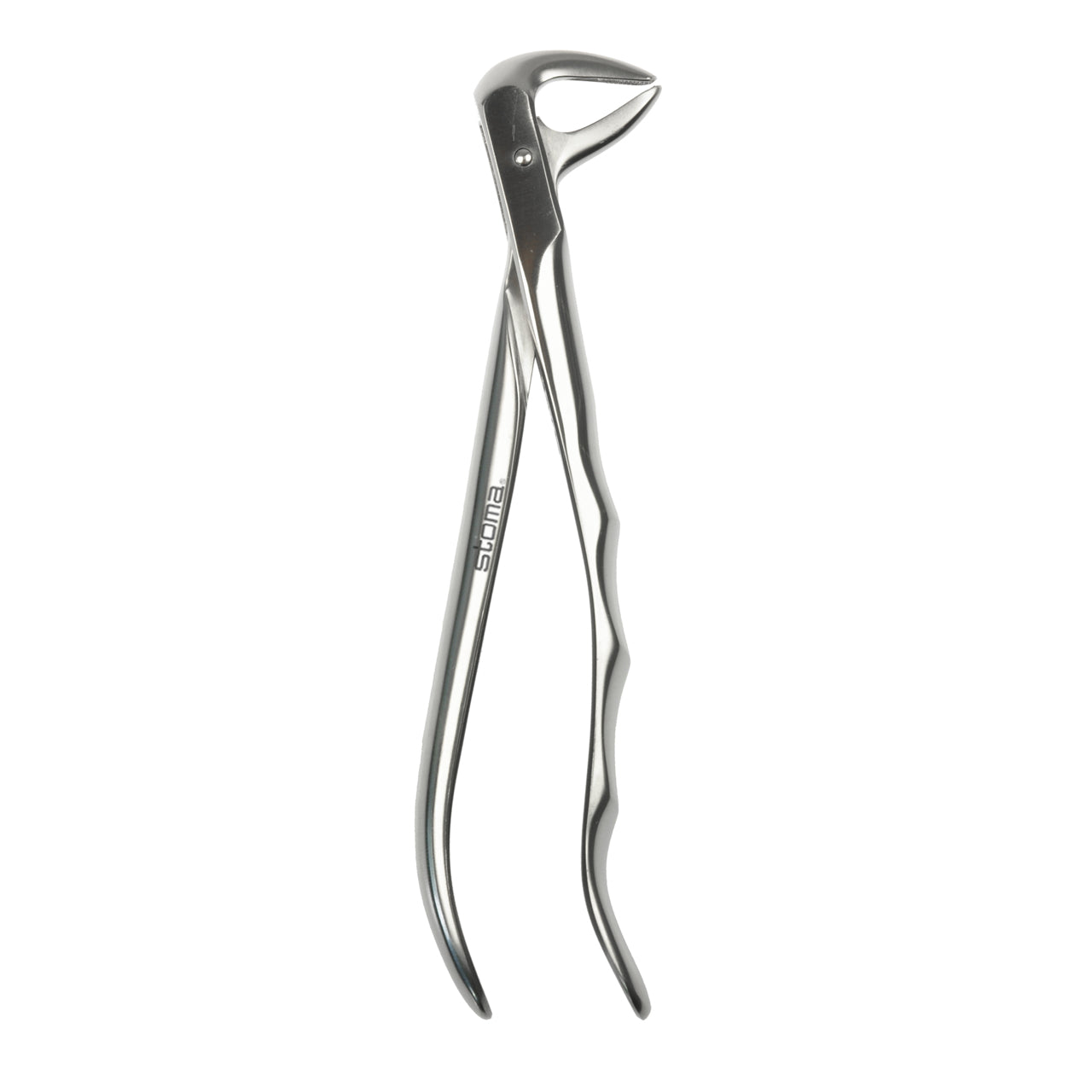 STOMA Forceps lower incisors and canines, broad, fig. 74, Fifo from Quintess Denta
