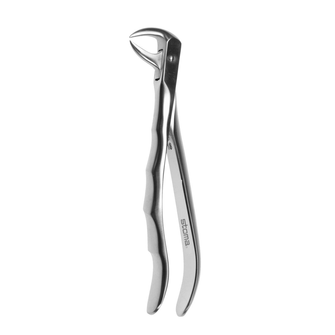 STOMA Forceps lower molars, doublemandrel, fig. 86, Fifo from Quintess Denta