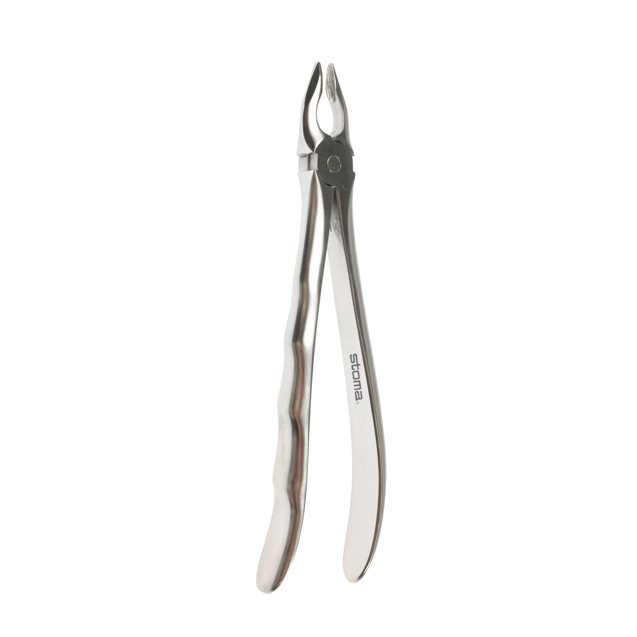 STOMA Forceps upper incisors and canines, small, Fifo from Quintess Denta