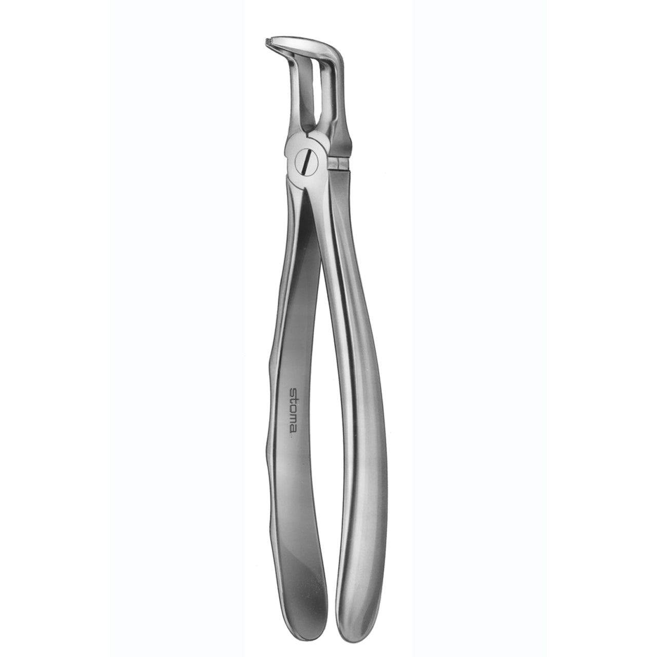 STOMA Forceps lower wisdoms, far-reaching, small, Fifo from Quintess Denta